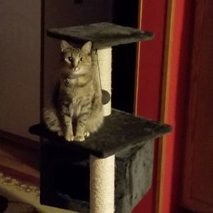 Meet your Posher, Sherrys